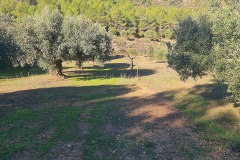 Landejendom i Asco, Tarragona, Asco - € 29.000 | Ref: 1003 Pasco - foto 18